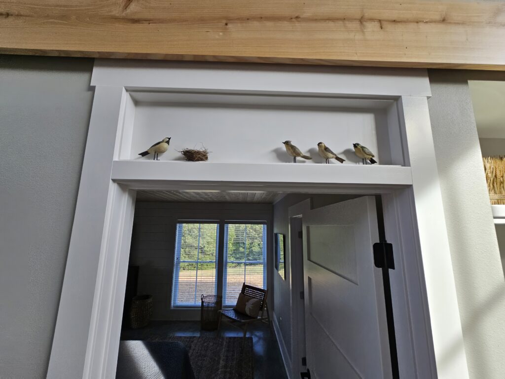 Bird figures on indoor window ledge above door.