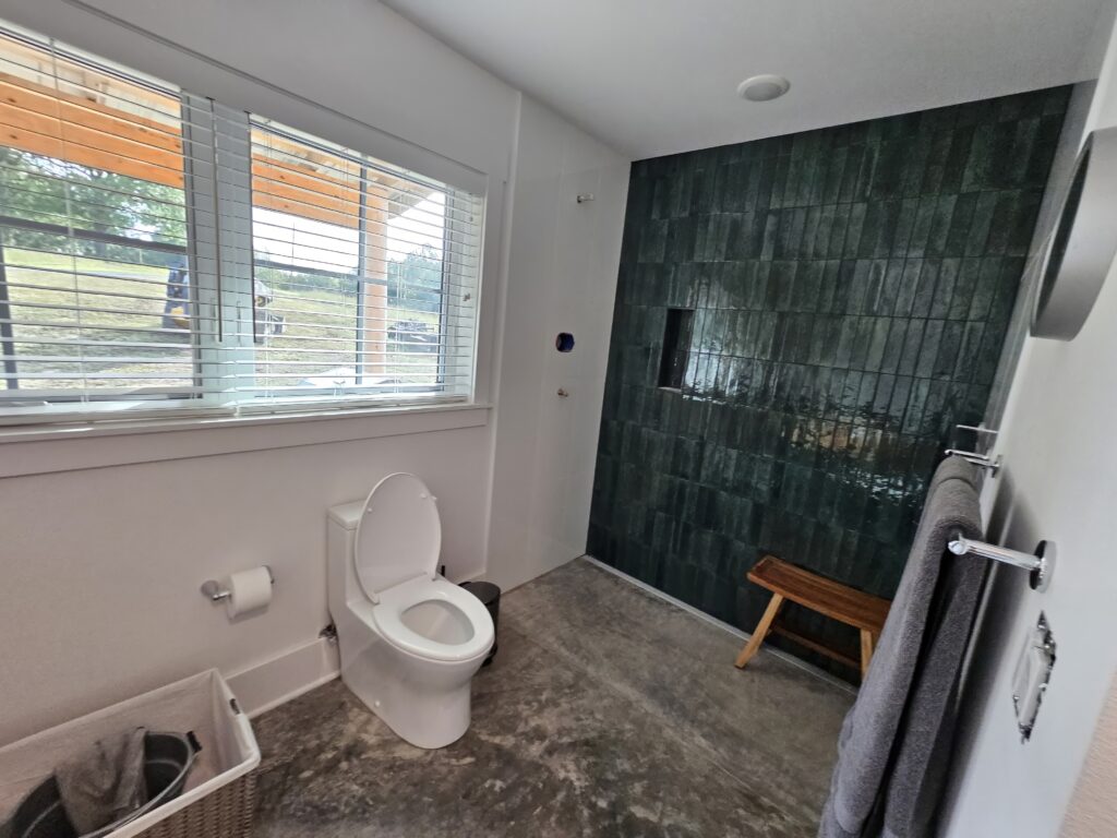 Modern bathroom with walk-in shower and natural light.