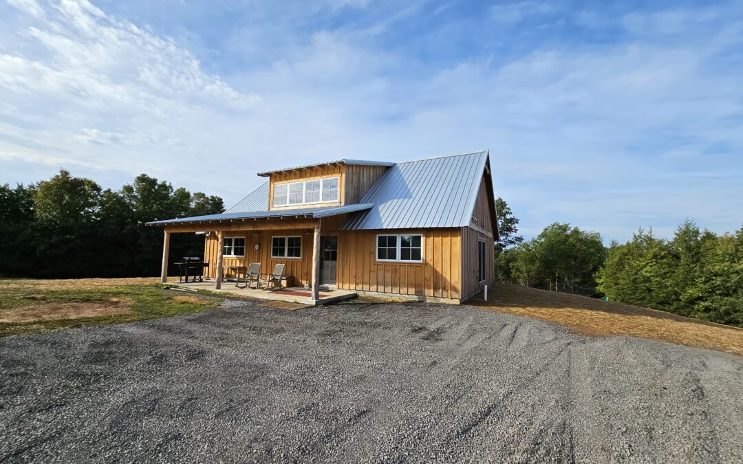 Rustic wooden cabin with metal roof in countryside setting.