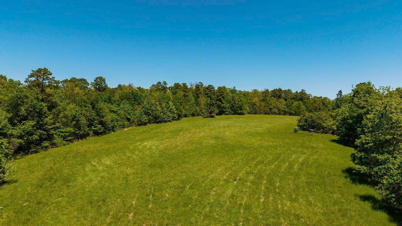 Rolling green pasture on the 94-acre Timbo property